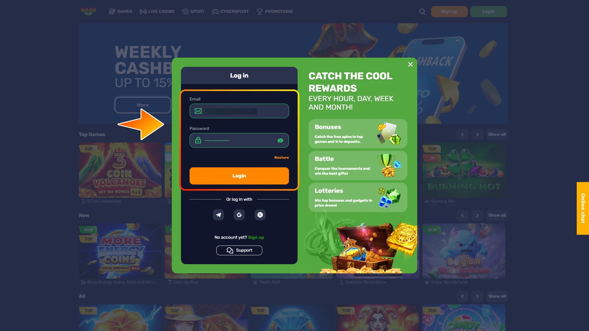 Provide your registered email address and password associated with your BassWin account.