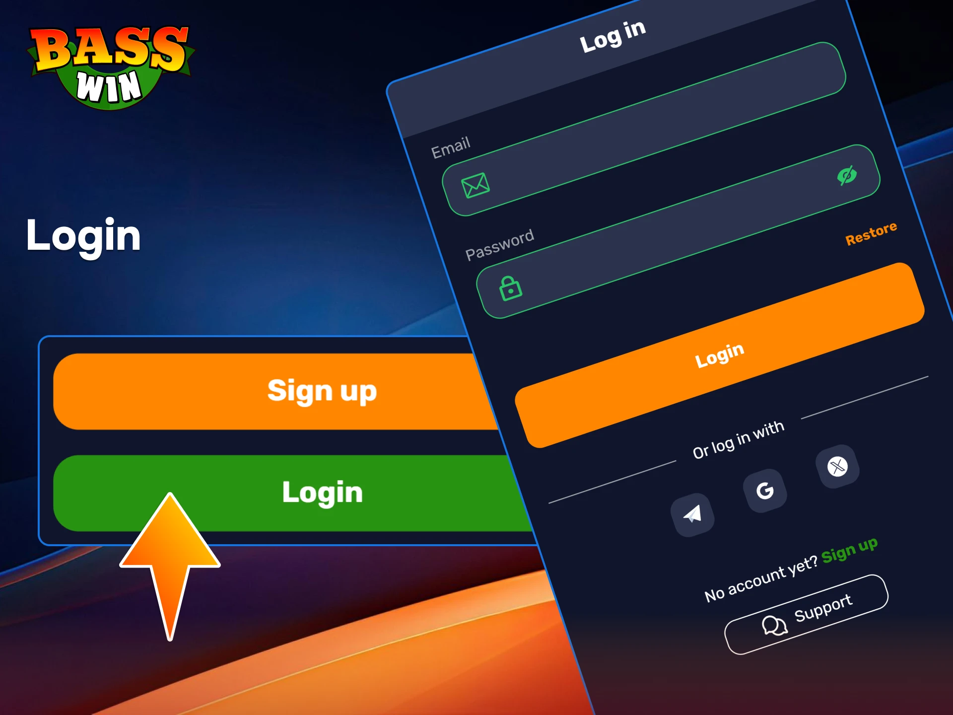 Enter your credentials to log in to your BassWin account and access your balance.